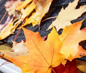 7 Signs You Need A Roof Inspection This Fall