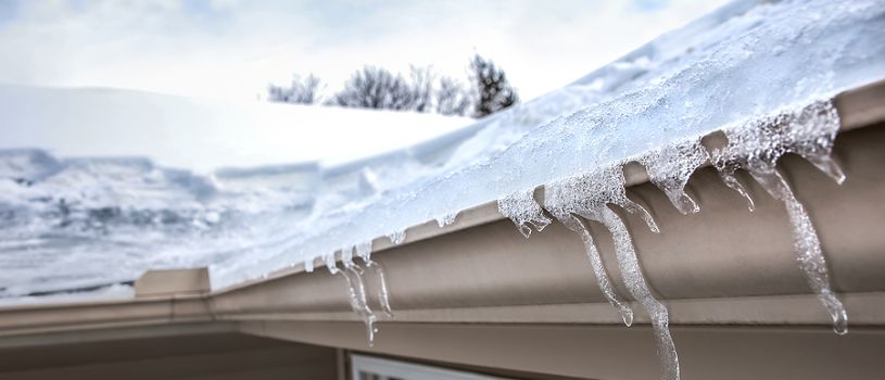 Common Roof Problems